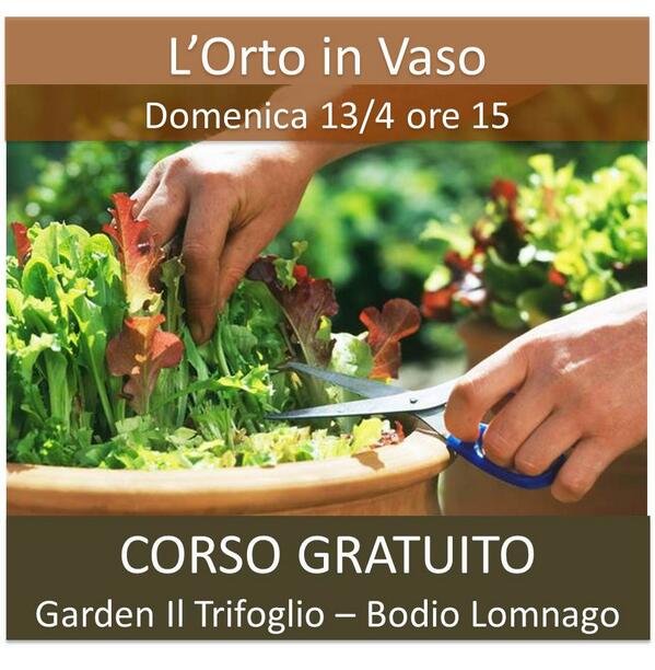 Garden Il Trifoglio tweet media