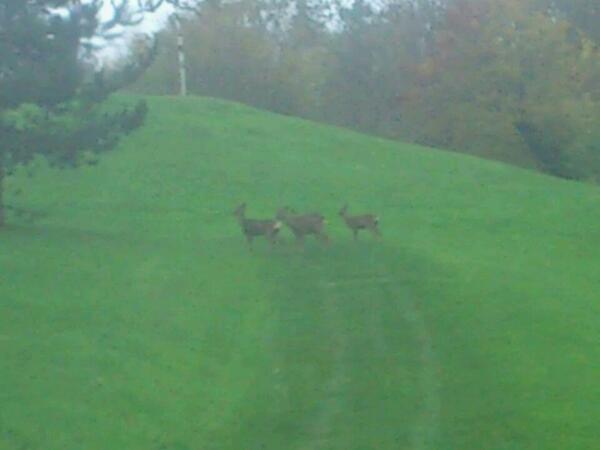 vaucouleurs's tweet photo. Les merveilles du Golf de La Vaucouleurs ! http://t.co/51ZgzF59Xz