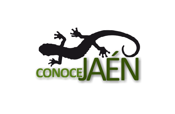 conocejaen's tweet photo. @CondondeJaen nos ayudar a dar a conocer ésta cuenta donde contaremos la historia de nuestra ciudad? #conocejaen http://t.co/EfRjISvmlr