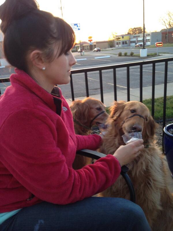 ChrisGerhardt27's tweet photo. A sunset walk to DQ with me familia. Even my dogs got in on it. A perfect way to end the day. http://t.co/6XnuDbQI3O