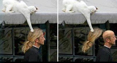 Lol"<a href="/awkwardposts/">AwkwardPosts</a>: funny "