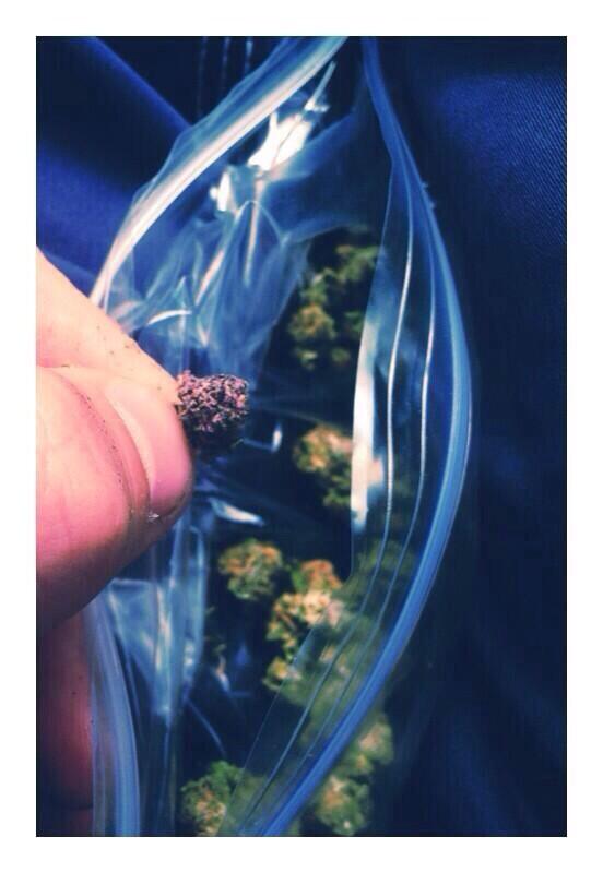 WYH4DAYZ's tweet photo. It's purp season😍💜 http://t.co/wIjR1QJ4Hx