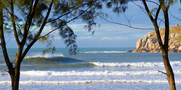 WSL_QS's tweet image. Solid.