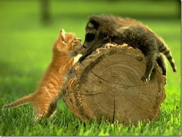 nastja_str's tweet image. @Lobenko90 чудесного дня потеряшкин.