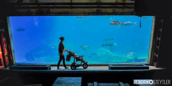 <a href="/uShakaMarine/">uShaka Marine World</a> <a href="/TarrynSteytler/">Tarryn Steytler</a> <a href="/Nikon_SA/">Nikon South Africa</a> <a href="/OrmsDirect/">Orms</a> #motherhood