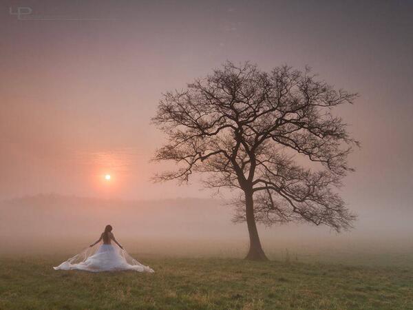 Gabriele Corno tweet media