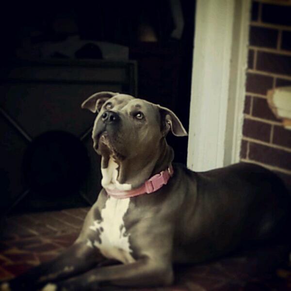 luzarango's tweet image. 