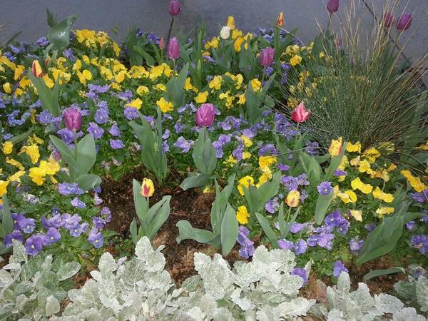 luzarango's tweet image. Un dia maravilloso que Dios nos dio.♥