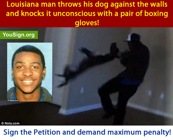 NewPetitions's tweet photo. Maximum penalty for Louisiana man who beat defenseless dog with boxing gloves! #petition: http://t.co/5qTaPrUNV5 http://t.co/0iq64Olu2c