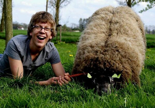 RutgerBoneschan's tweet photo. "@LinkDeLieve: Met wie trek je vaak gekke bekken ? #LinkDeLieve" met mn schaap #liefdiertje http://t.co/vH0lRwsfwV
