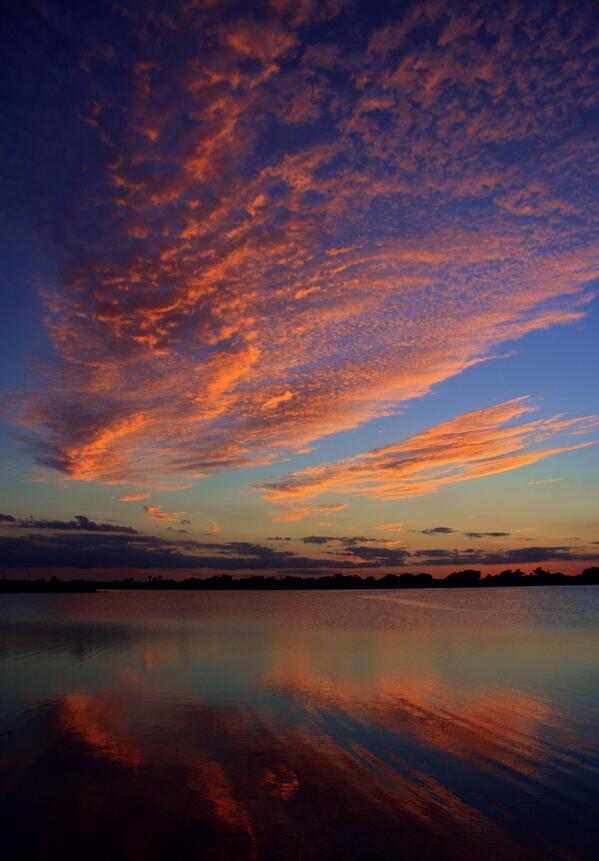 Welcome to my TL, @LojiLojiCom!
'Flickr of Red...and Blue' by Peter PelicanPete