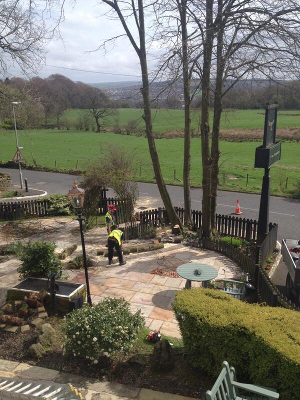 TheSparrowTweet's tweet image. Tree fellas? So how come I can only count two? #springpruning