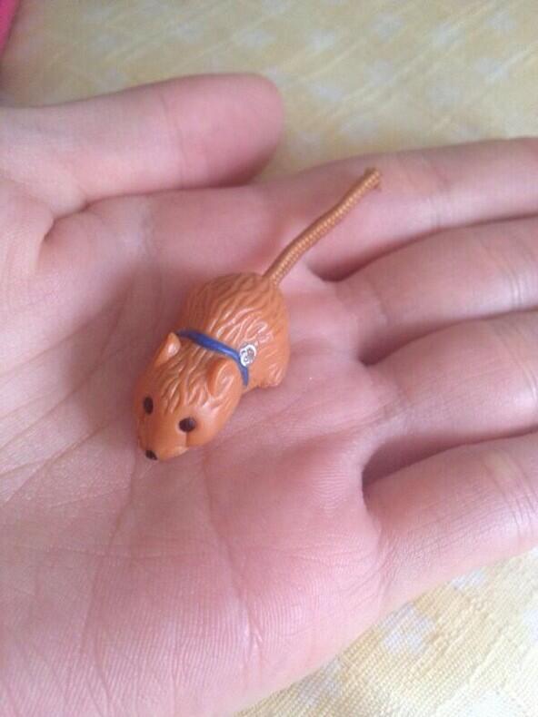 ri7coco's tweet photo. What is the name of this toy？
誰か教えてー☆
このオモチャの名前なんだっけ？
昔よく遊んでたんだけど思い出せないー☆
マグネットが付いた棒で動かすやつ♪ http://t.co/qvAJjz9zdE