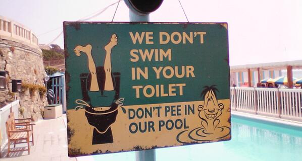 Society4Science's tweet photo. Swimming pools are basically huge blue toilet bowls: http://t.co/KRJ6LHucfn http://t.co/AWZnDMBm4j