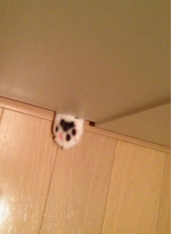 トイレで用を足していたら、ドアの隙間から手が出てきたwww