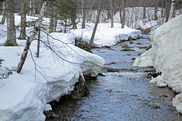 skiwildcat's tweet photo. Signs of spring...but winter is hanging on strong at Wildcat! #deepsnowpack #stillgoingstrong #springshred #LoveSnow http://t.co/SZSjsEn2wI