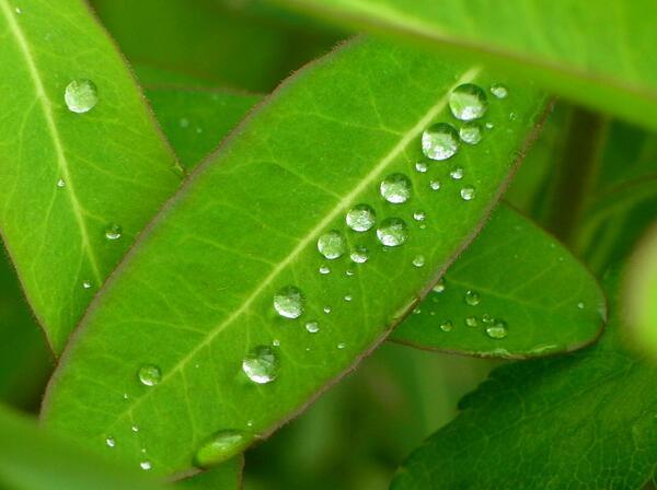 あなたが地上の人に教える時は、「一人ひとりが全てのパワーを持っている」と言うことを教えて下さい。他人も自分も傷つけることなく、必要なものを全部創造出来る、ということです。（バシャール）
