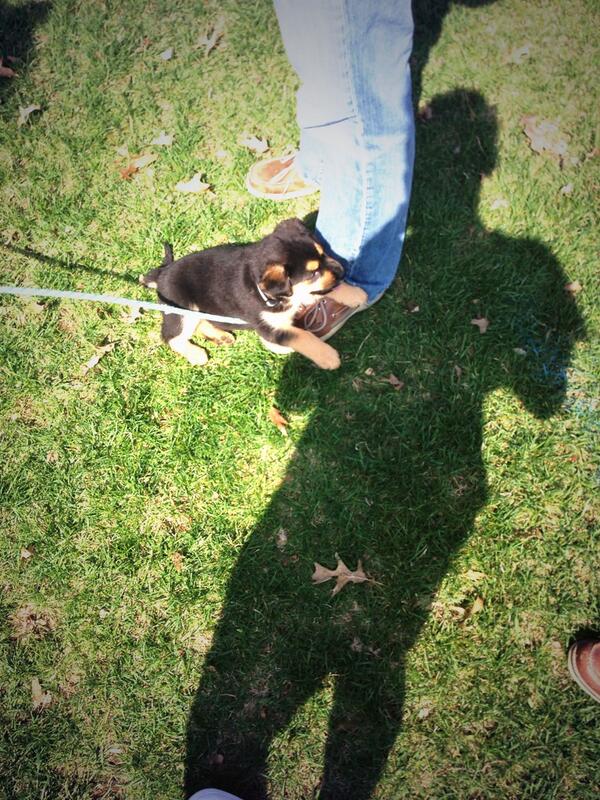 Steven & Joe '14 tweet media