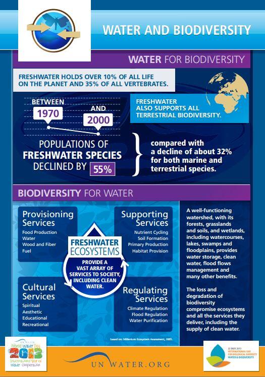 iAgua's tweet photo. ¿Por qué el agua es fundamental para la biodiversidad? No te pierdas esta infografía http://t.co/DmPUtOqB8i http://t.co/VdpRKdymhX