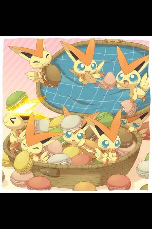 •Pokemon Wallpapers• tweet media
