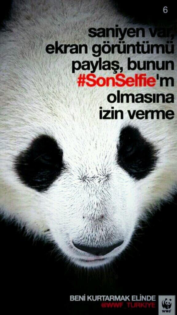 Tanıştırayım. Bak bu benim kardeşim!! #SonSelfie kampanyaya destek ver!! <a href="/WWF_TURKIYE/">WWF_TURKIYE</a>