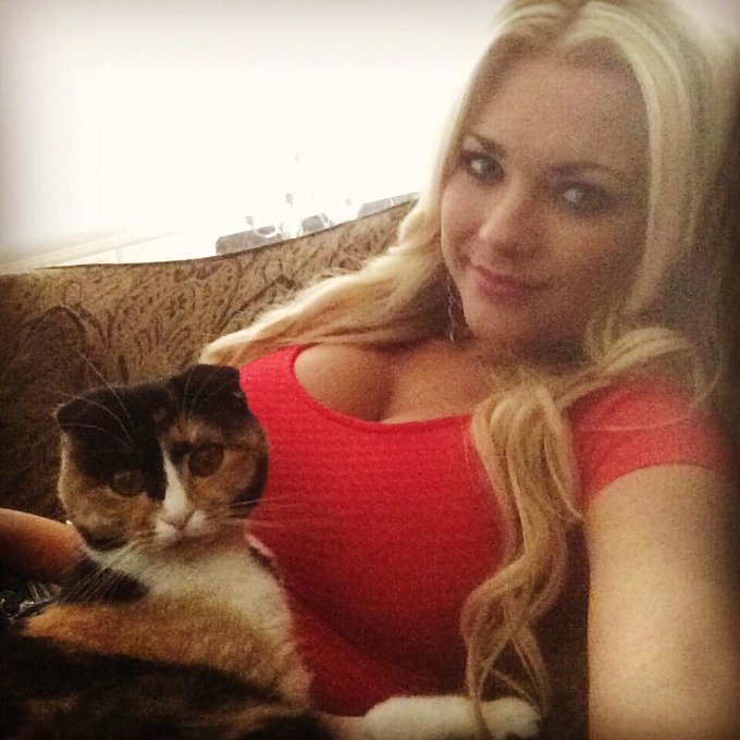 I love my Coco! 😻 #catlady #snugglebuddy #scottishfold #blondie http://t.co/7yJf7rhAn4<a href="/tag/catlady"class="tags">#catlady</a><a href="/tag/snugglebuddy"class="tags">#snugglebuddy</a><a href="/tag/scottishfold"class="tags">#scottishfold</a><a href="/tag/blondie"class="tags"><span>#blondie</span></a>