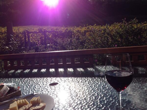 physiofirst tweet media