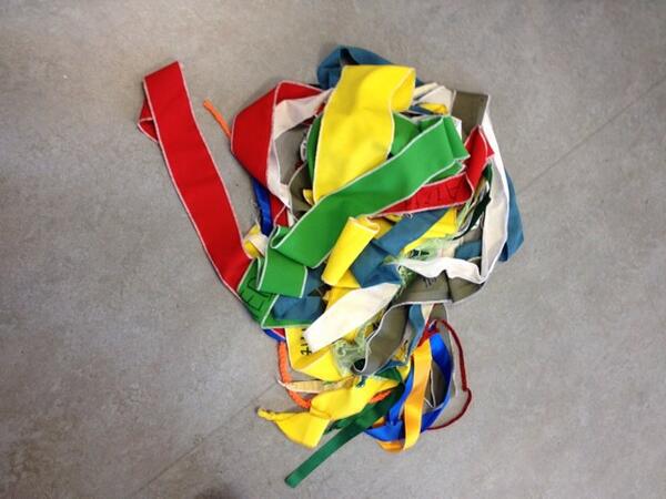 Jazzsingel's tweet photo. Weet u wat dit is? Morgen plaatst basisschool De JazzSingel in Utrecht Terwijde een lintenboom op het dak! http://t.co/9THbGu4src