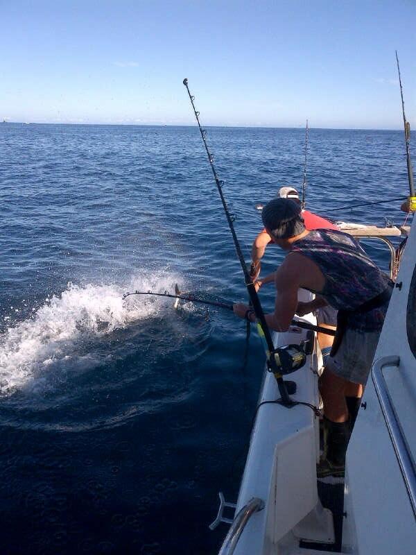 Nothing like a thrashing fish on the surface and pancake flat waters. Fishing off Cape Point Cape Town at its best.