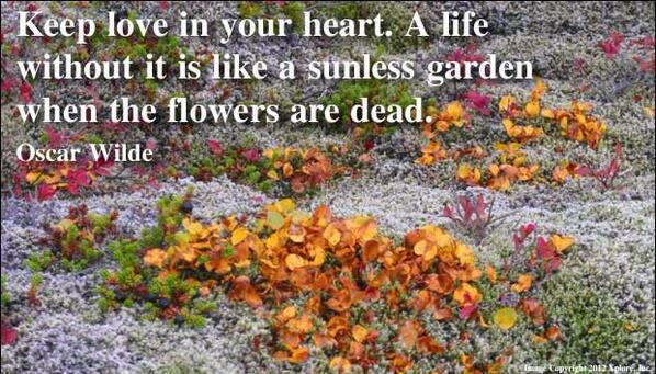 Quotesperminute tweet picture