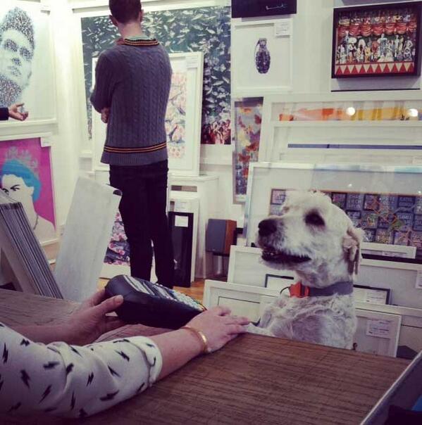 artrepublic's tweet photo. We had an adorable canine art fan in our #Brighton gallery this weekend! http://t.co/LmiTmXwzwB #artfordogs #dogs http://t.co/Mi6W3PkwK0