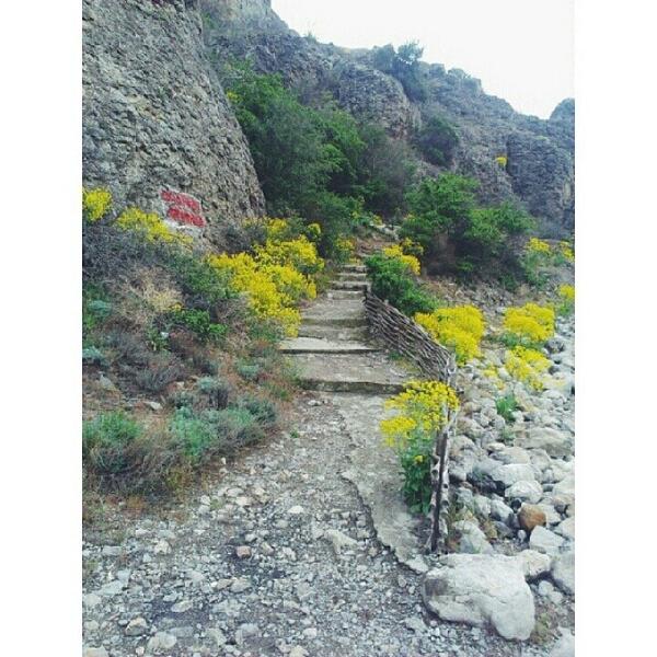 Еще одно фото с прогулки ☺👣 #судак