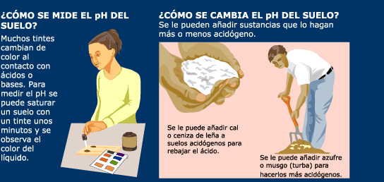 ¿Cómo se mide el pH del suelo?
#Agricultura 🌱 via #GardenMosaics