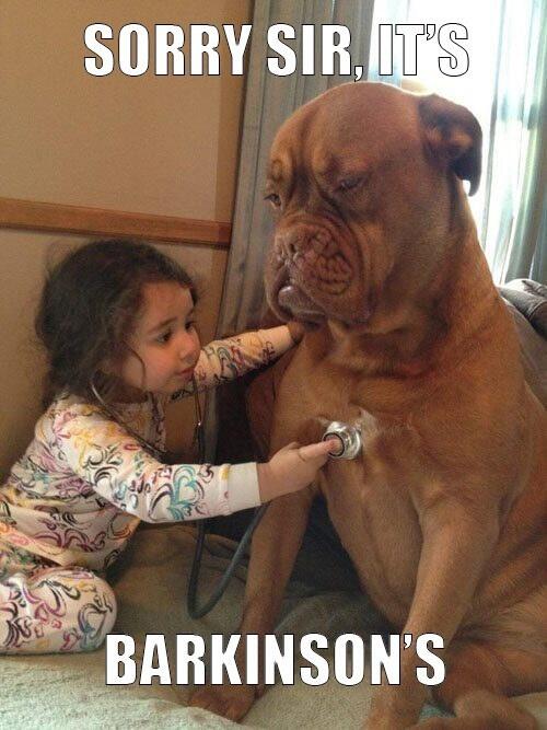 BuzzFeed's tweet image. 29 Things That Will Make You Grin Like An Idiot However Badly Your Day's Going bzfd.it/1lxyDuH via @aljwhite