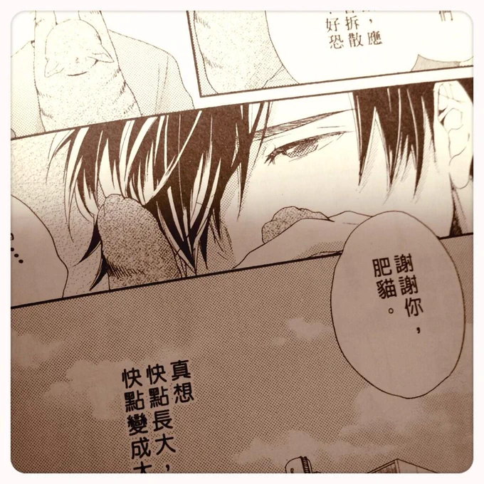 今回1番気になってたのが、ぶにゃさんの名前がどうなってるかだったのですが、これ、肥猫…肥えた猫や…!まさかのダイレクトでぶ猫に爆笑でした。 