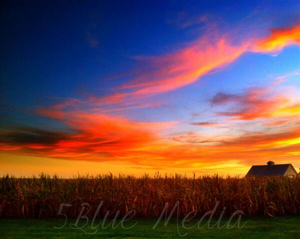 5BlueMedia's tweet photo. "For amber waves of grain"...  #EarthDay2014 http://t.co/dheNl2cUEf