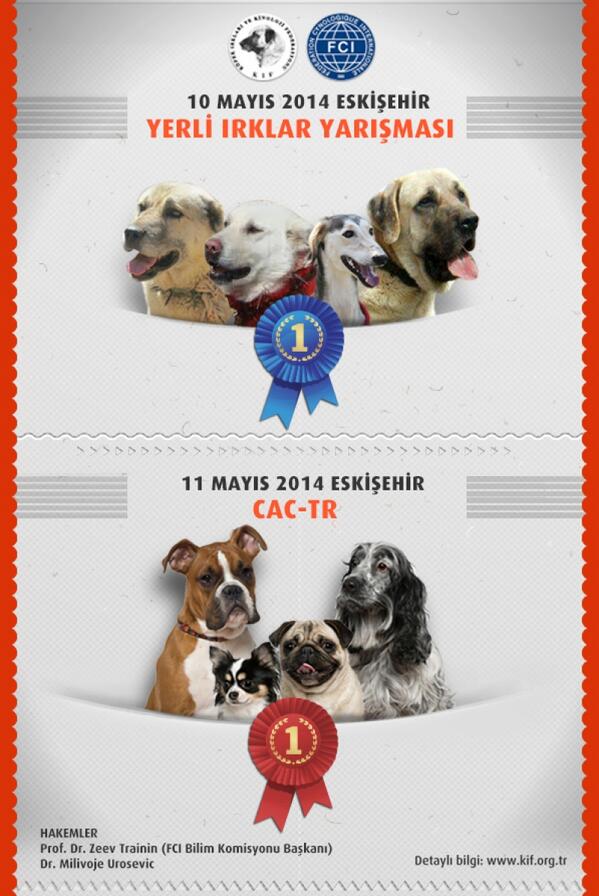 Online Başvuru : kif.org.tr