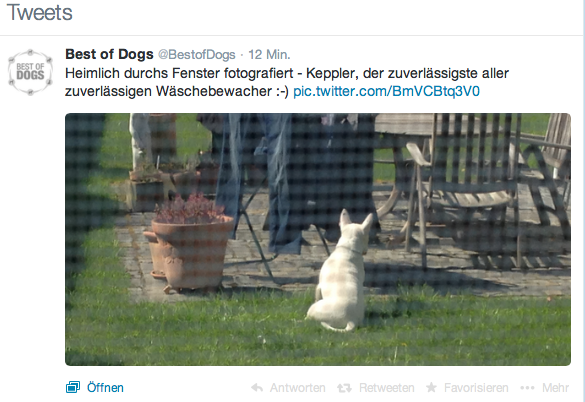 a_keppler's tweet photo. Das bin ja ich!!!! http://t.co/wXeqxSlj2x
