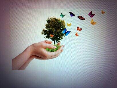 RHIT BBE tweet media