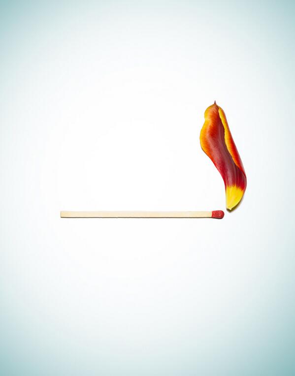 AlexanderKent_'s tweet photo. Fire! All you need is a tulip petal and match. #Alexanderkent #wefolk #fireinstudio #studiophoto #artdirection http://t.co/BsWVQa34CN
