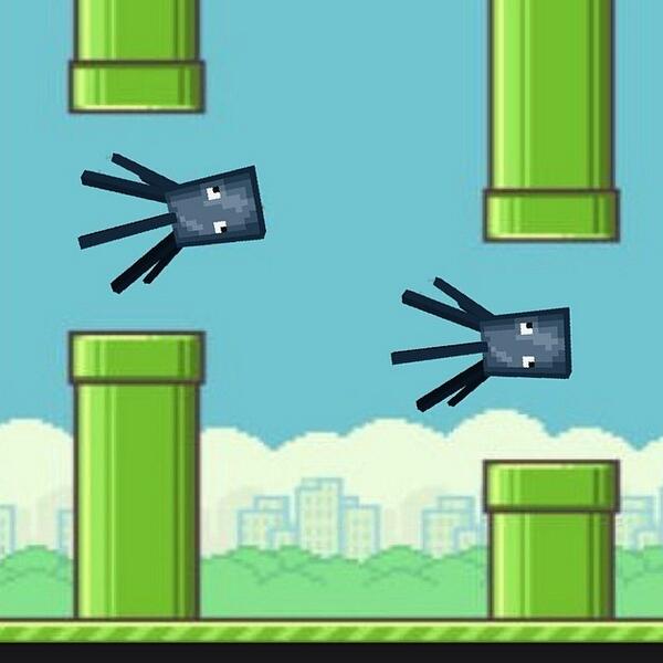 FIappyBirdFans's tweet photo. β Squids are amazing at Flappy bird! #minecraft #minecraftonly #mconly #mc #mcisawesome #minecraftisawsome #minec... http://t.co/mprvnVVZMg
