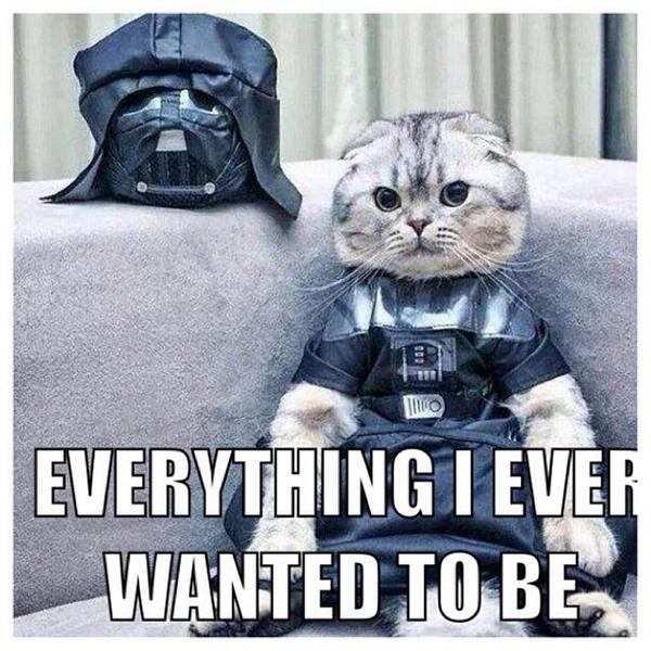 Tiara Varner (TeeeGotTweeter) Twitter