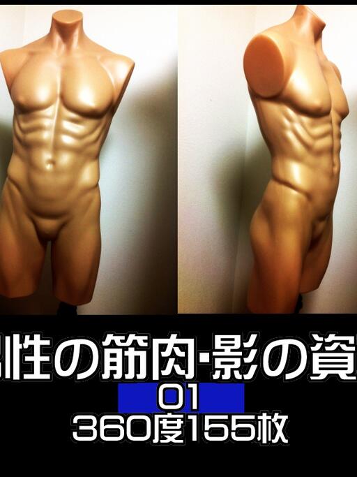 男性の筋肉 人体の資料まとめ Togetter