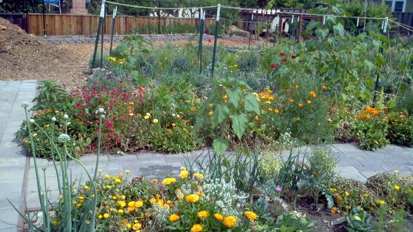 Mark Cooper tweet media