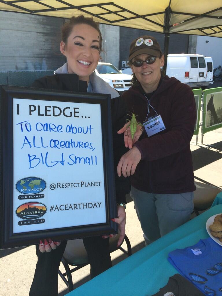 Permalien de l'image intégrée