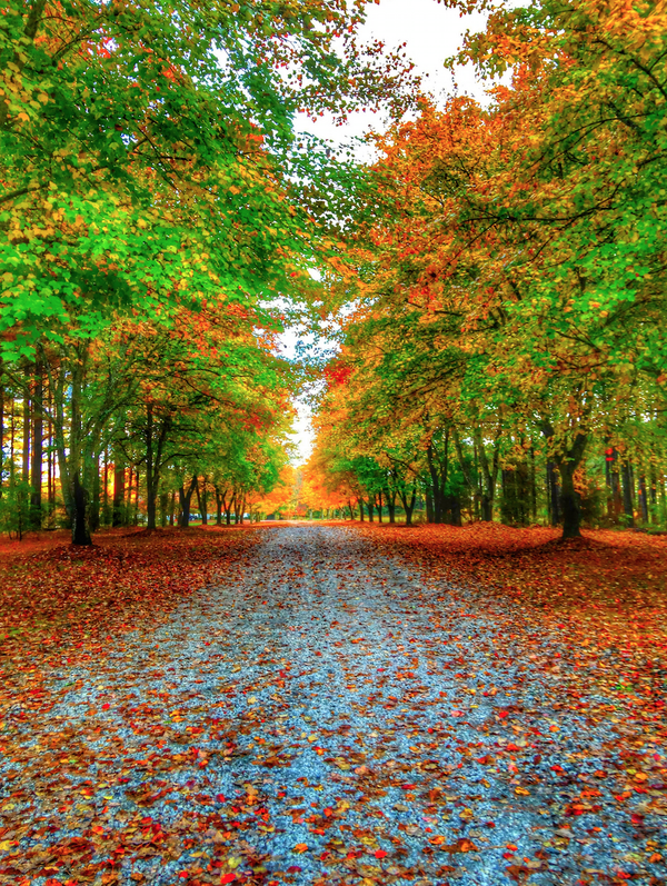 factsnature52's tweet photo. Greenwood, South Carolina http://t.co/TOZhJaOyuB