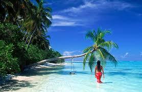 PaddleboardXPLR's tweet image. I suppose everyone&apos;s vision of #Paradise is different. Here&apos;s mine paddleboardexplorerblog.com/random-thought…