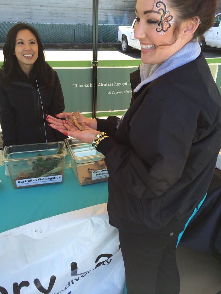 Permalien de l'image intégrée