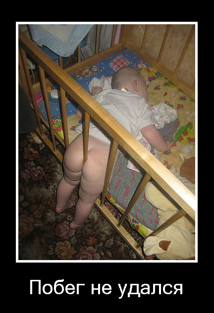 Garry_Muse's tweet photo. Побег. http://t.co/xNroasViIl Много смешного. http://t.co/T8aph1q198