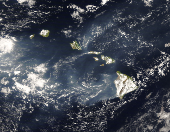 Pagoda Restaurant tweet media